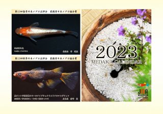【送料無料！】メダカカレンダー 2023年（壁掛けタイプ）