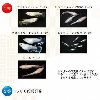 <img class='new_mark_img1' src='https://img.shop-pro.jp/img/new/icons25.gif' style='border:none;display:inline;margin:0px;padding:0px;width:auto;' />500ߥɬ򤴳ǧ