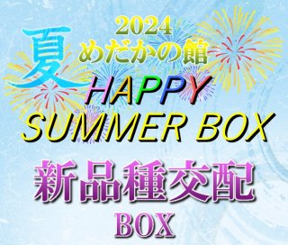 <img class='new_mark_img1' src='https://img.shop-pro.jp/img/new/icons25.gif' style='border:none;display:inline;margin:0px;padding:0px;width:auto;' />HAPPY SUMMER BOXۿʼBOX