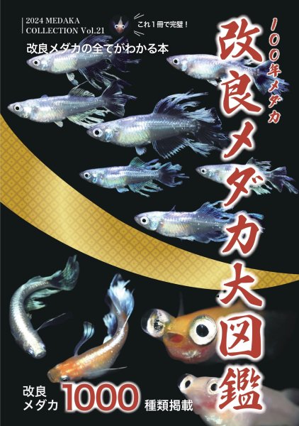 2024年 メダカ愛好家必読書！「100年メダカ～改良メダカ大図鑑～vol.21」