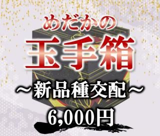 <img class='new_mark_img1' src='https://img.shop-pro.jp/img/new/icons25.gif' style='border:none;display:inline;margin:0px;padding:0px;width:auto;' />2025ǯ9ۤζ̼Ȣʼۡ