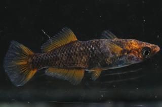 ޼typeRʥҥ1ɤ ڸʪۡ1ɤ᥹1ɤMLDN0804