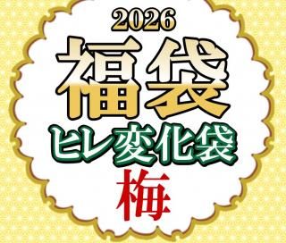 2026ǯʡ�� �ҥ��Ѳ��ގ��ߡ�