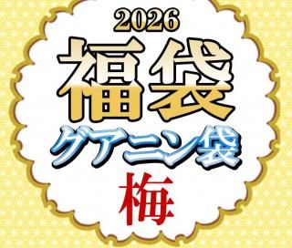 2026ǯʡ�� �����˥��ގ��ߡ�