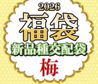 2026ǯʡ�� ���ʼ�����ގ��ߥ�������