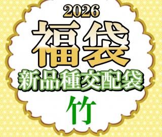 2026ǯʡ�� ���ʼ�����ގ��ݥ�������