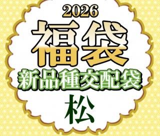 2026ǯʡ�� ���ʼ�����ގ�����������