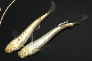 <img class='new_mark_img1' src='https://img.shop-pro.jp/img/new/icons1.gif' style='border:none;display:inline;margin:0px;padding:0px;width:auto;' />����С���� �ڸ�ʪ�ۡ�����1ɤ�᥹1ɤ��������M��L��DD2131