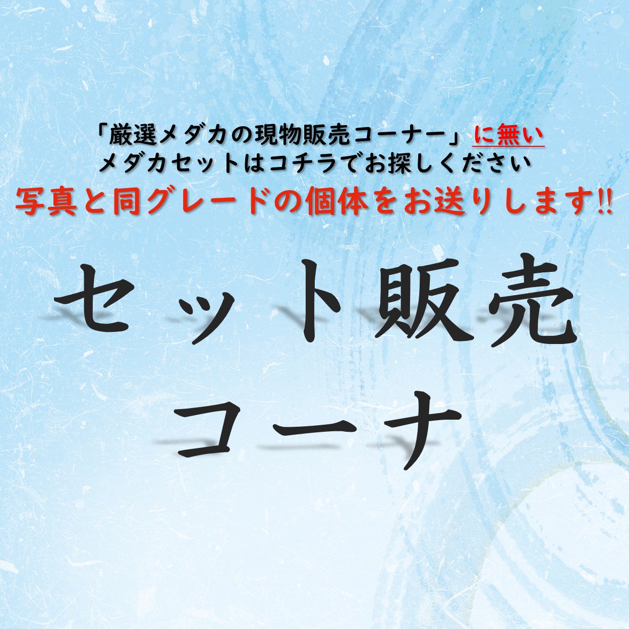 めだかの通販・販売専門店-めだかの館-