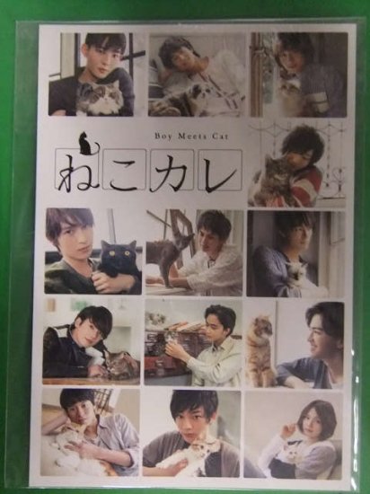 ねこカレ　ポストカード13枚＋1枚付き　竜星涼　佐野岳　植田圭輔　染谷俊之　阪本奨悟