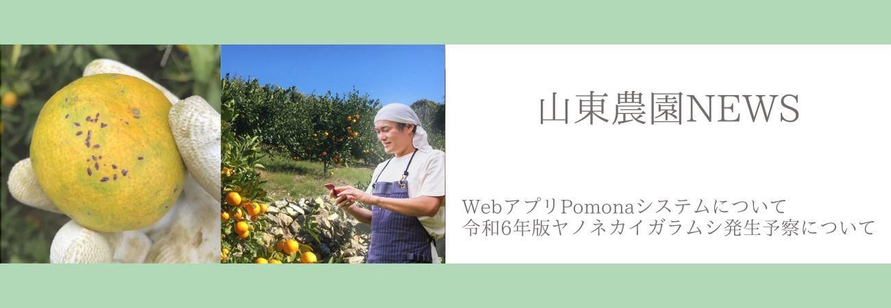 ��������NEWS_1