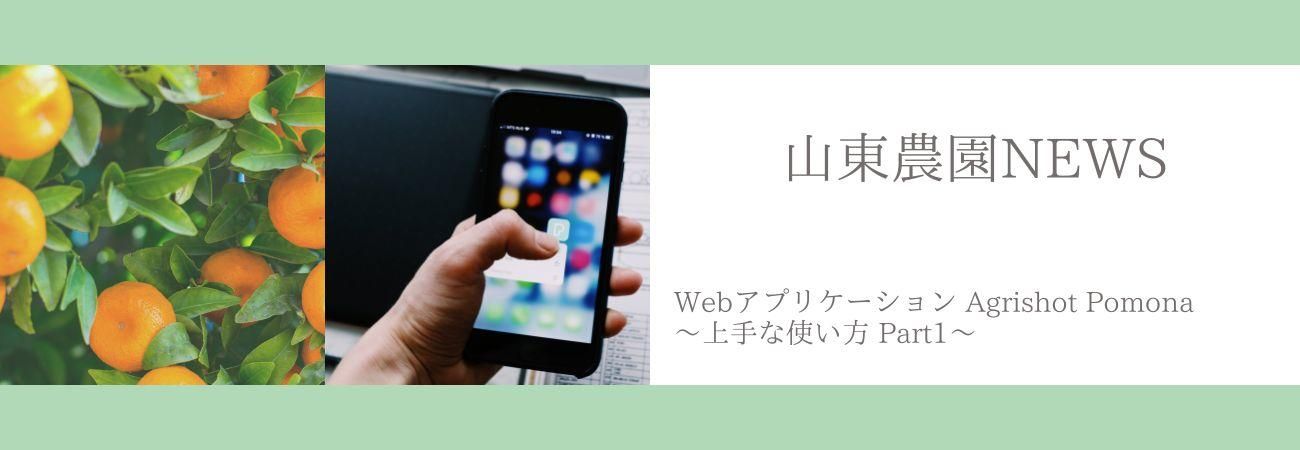 ��������NEWS_2