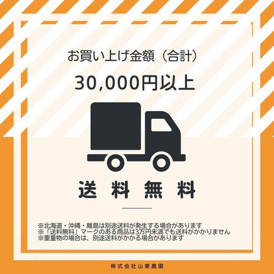 （まとめ）今村紙工 PE宅配袋 小 100枚 PE-TS（×30セット）