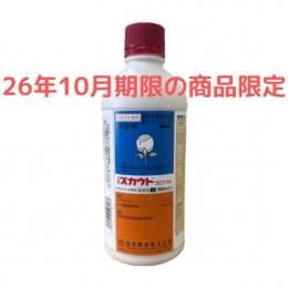 ��2026ǯ10����¡ۥ������ȥե����֥� 500ml ��ʪ