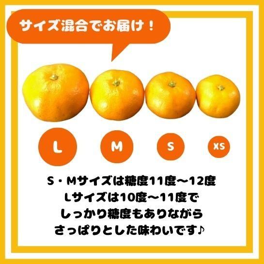 新鮮村のみかん 5kg 価格｜農薬販売通販サイト-山東農薬オンラインストア