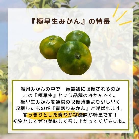 新鮮村のみかん 5kg 価格｜農薬販売通販サイト-山東農薬オンラインストア