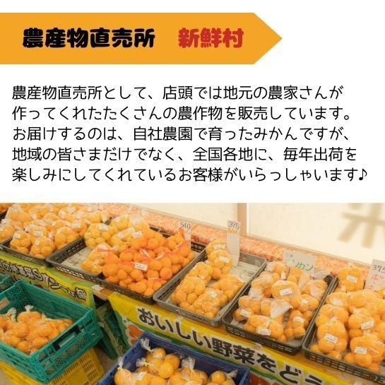 ノカンゾウ200g 　採取　当日発送　無農薬　山菜　新鮮 天然ノカンゾウ 300g