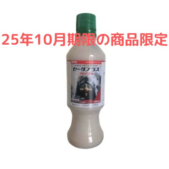 25ǯ10ۥץ饹ե֥ 500ml