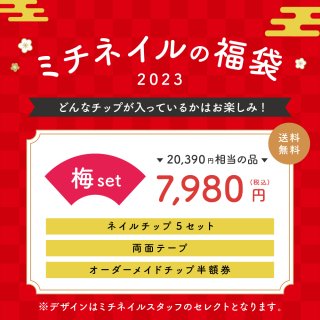 【数量限定】2022年新春福袋Bセット(チップ5セット入)
