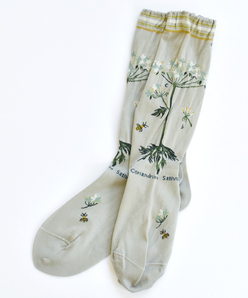 【SALE：30%off】BOTANICAL XII SOCKS<img class='new_mark_img2' src='https://img.shop-pro.jp/img/new/icons16.gif' style='border:none;display:inline;margin:0px;padding:0px;width:auto;' />