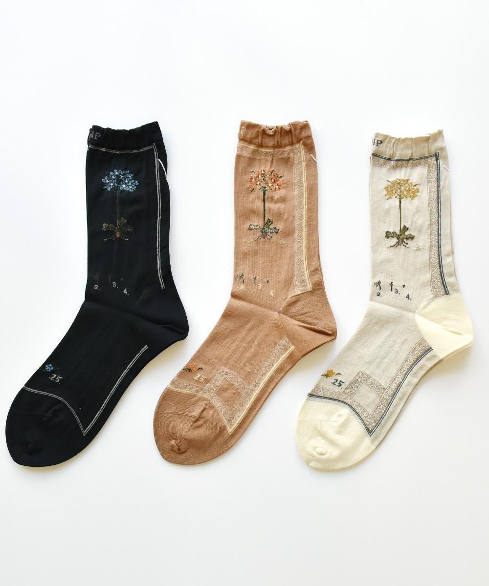 BOTANICAL XVI SOCKSBLACKCAMELIVORY<img class='new_mark_img2' src='https://img.shop-pro.jp/img/new/icons1.gif' style='border:none;display:inline;margin:0px;padding:0px;width:auto;' />