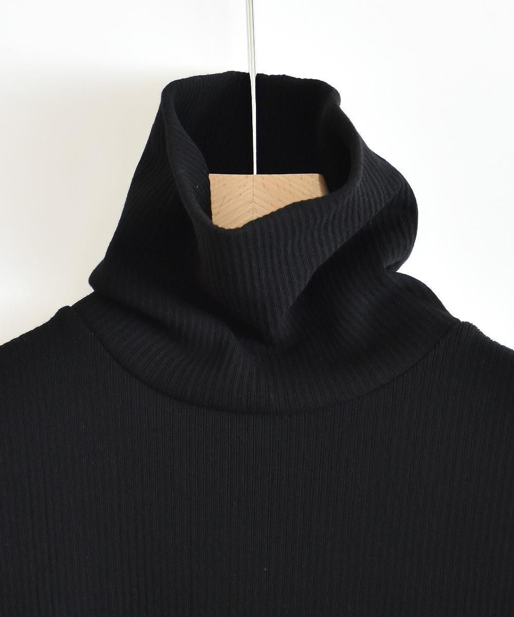 RANDOM RIB LONG SLEEVE TURTLE PULL OVERʥ֥å<img class='new_mark_img2' src='https://img.shop-pro.jp/img/new/icons1.gif' style='border:none;display:inline;margin:0px;padding:0px;width:auto;' />