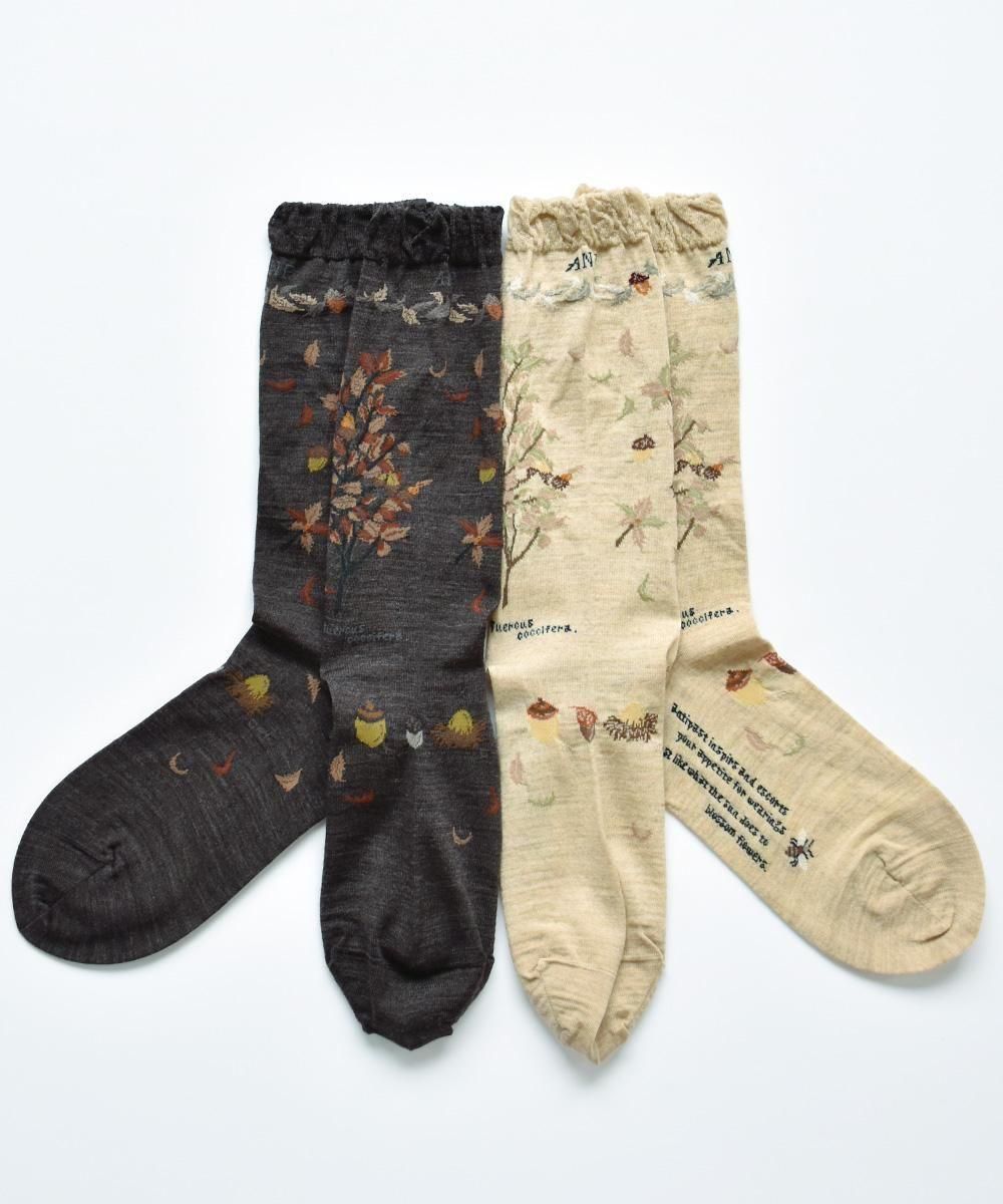 WIND & THE ACORN TREE SOCKSBEIGEDARK BROWN<img class='new_mark_img2' src='https://img.shop-pro.jp/img/new/icons1.gif' style='border:none;display:inline;margin:0px;padding:0px;width:auto;' />
