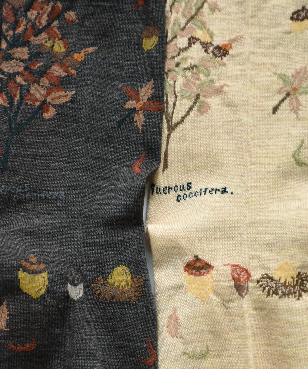 WIND & THE ACORN TREE SOCKSBEIGEDARK BROWN<img class='new_mark_img2' src='https://img.shop-pro.jp/img/new/icons1.gif' style='border:none;display:inline;margin:0px;padding:0px;width:auto;' />