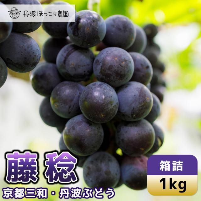 京都・丹波ぶどう | 藤稔 1kg - 丹波 ほっこり農園