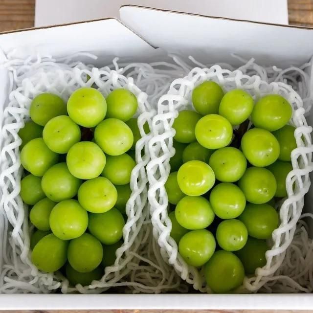 京都・丹波ぶどうセット | マスカットベリーA1kg・シャインマスカット