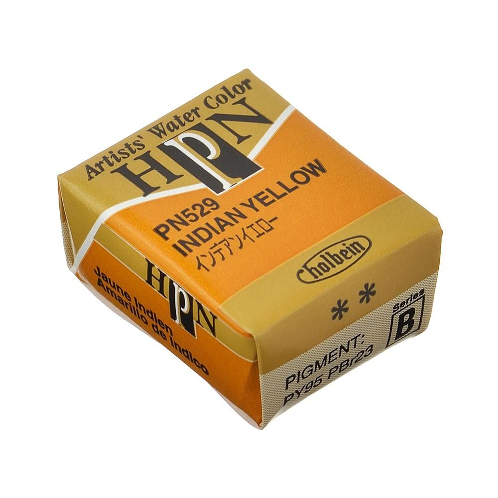 パンカラー PN529 インデアン イエロー