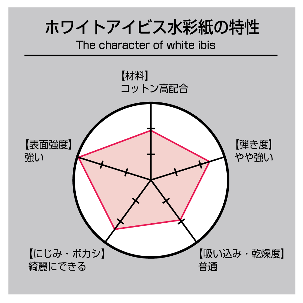 ホワイトアイビス水彩紙 ブロック 300g 中目 WIB-SM