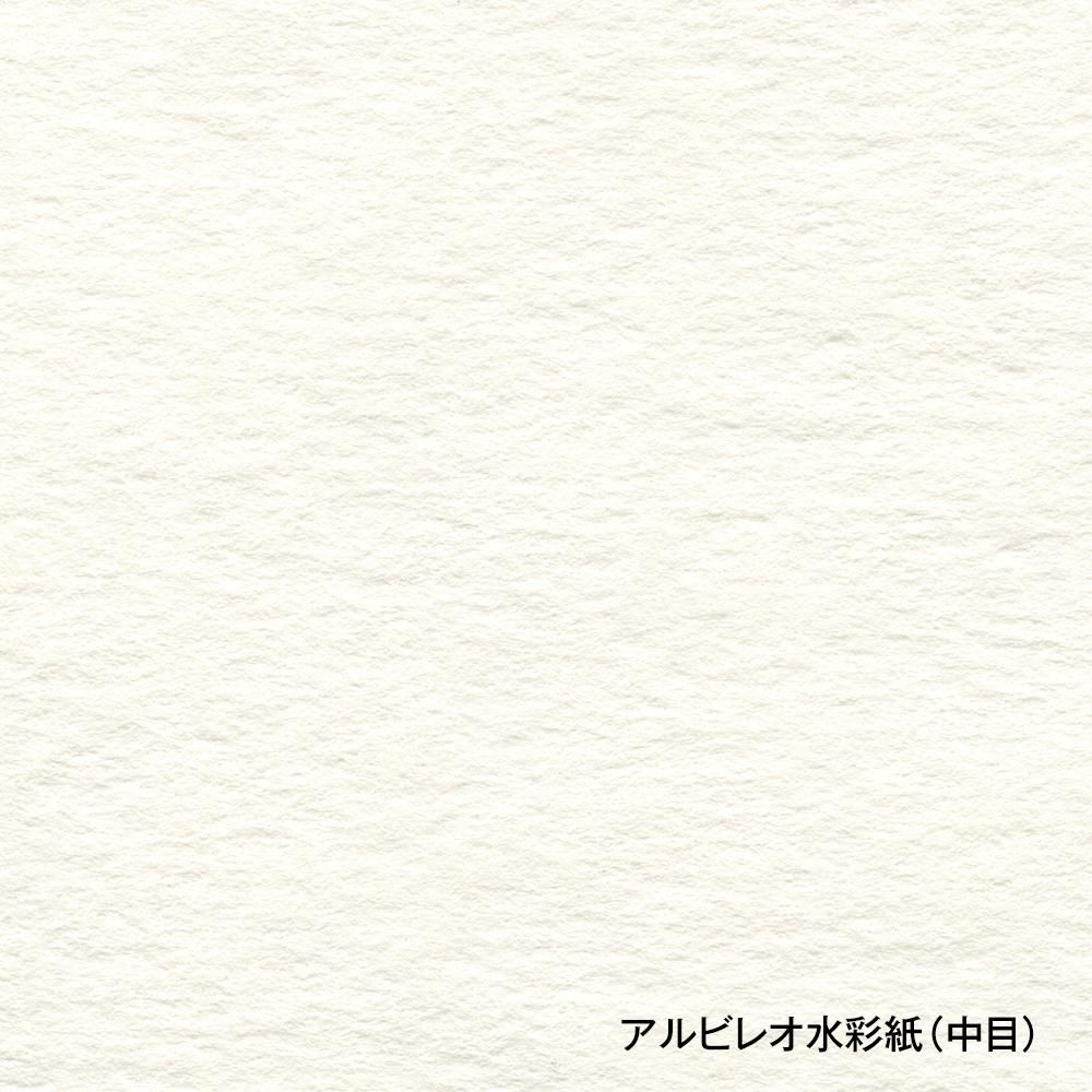 アルビレオ水彩色紙 ミニ色紙 151g 中目 ASK-03(10枚入) アルビレオ水彩色紙 ミニ色紙 151g 中目 ASK-03(10枚入)