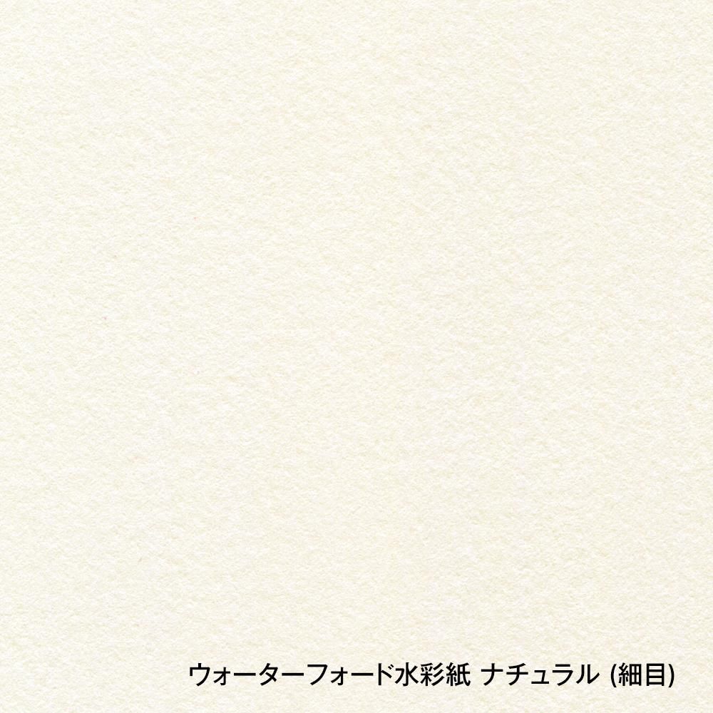 「プードルホワイトとキッチン フレンチカントリー」水彩画 原画B5相当 プードルホワイトとキッチン フレンチカントリー」水彩画 原画B5