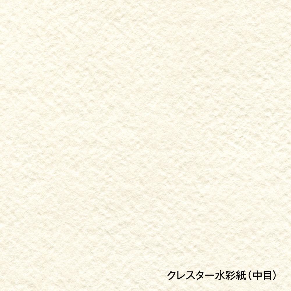 クレスター水彩紙 ポストカード パック 210g 中目 C-PCP