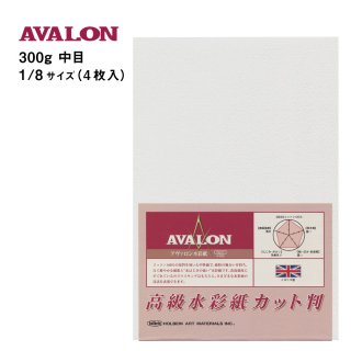 まとめ売り！新品 最高級水彩紙 アルシュ、AVALON、ハーネミューレなど 