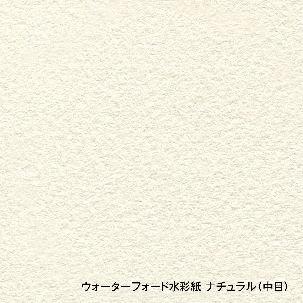 ウォーターフォード水彩紙 ナチュラル カット判 300g 中目 1/8