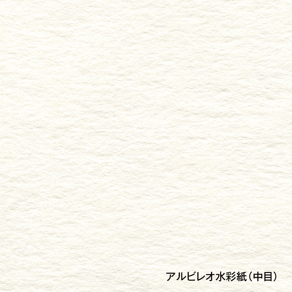 用途別スケッチブック 水彩画用ブック YWC-A4