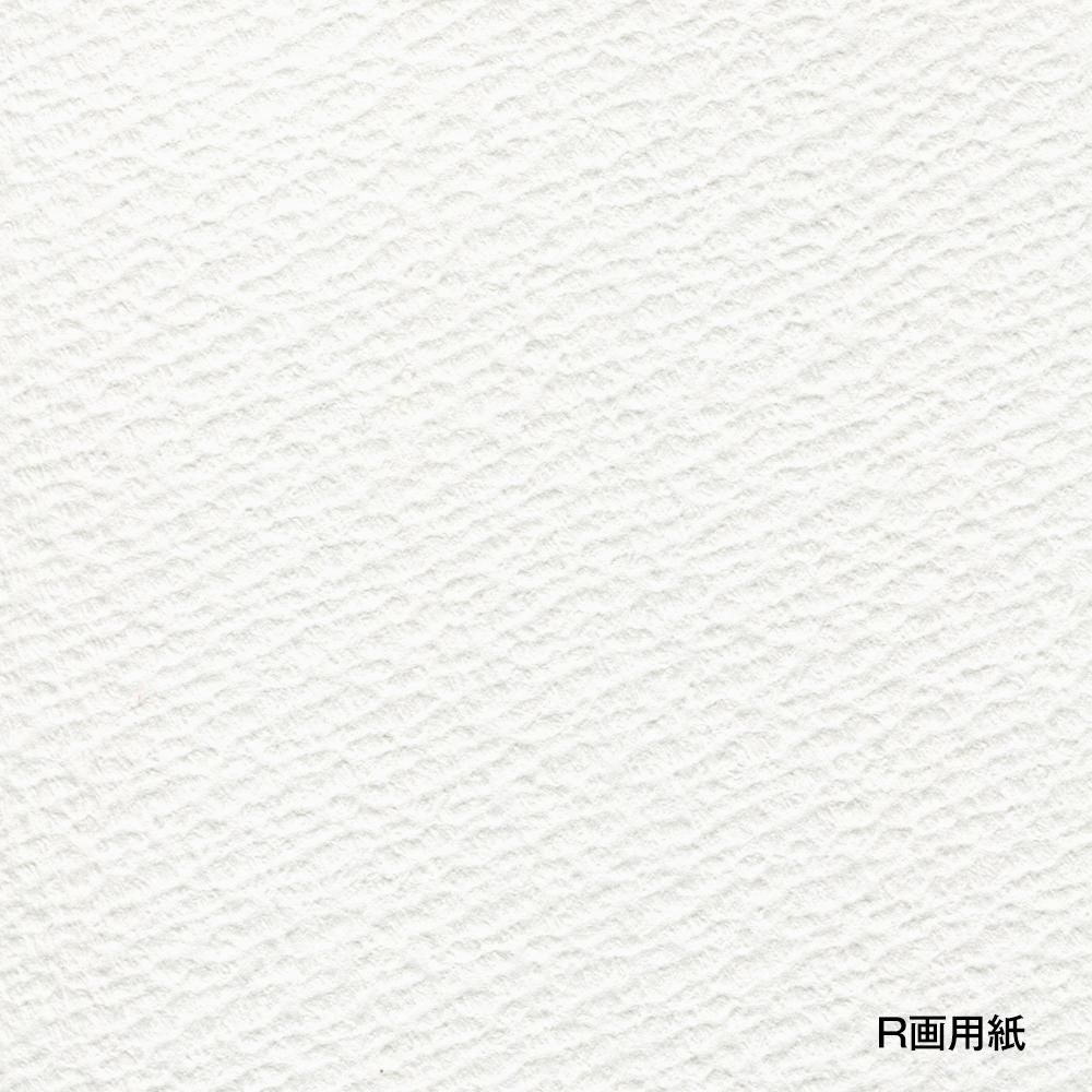 紙束 R画用紙 スプリング No.30シリーズ 30K-1 (SM)