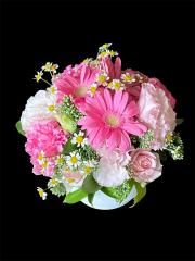 󥸥ȡID : 187477684
