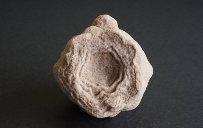 ストロマトライト Stromatolite　