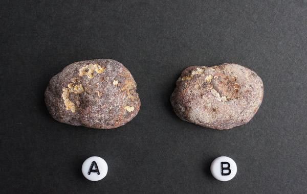 コヤミト アゲート Coyamito Agate - greenfloat