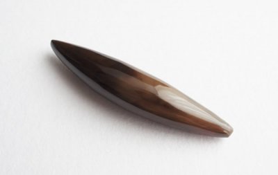 <img class='new_mark_img1' src='https://img.shop-pro.jp/img/new/icons49.gif' style='border:none;display:inline;margin:0px;padding:0px;width:auto;' />λβ Fossil Whale Tooth
