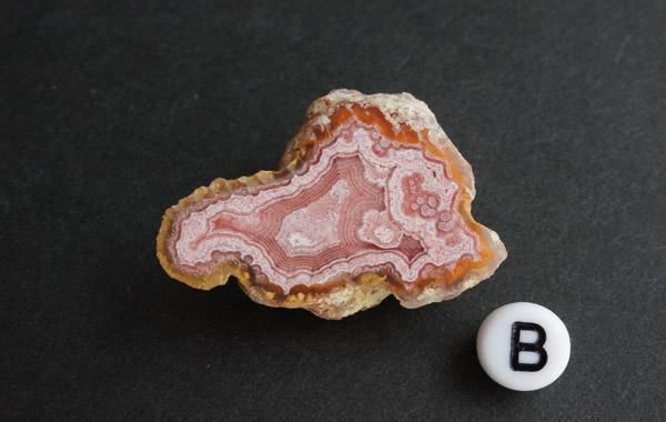 ﾗｸﾞｰﾅ ｱｹﾞｰﾄ Laguna Agate - greenfloat