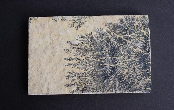 美しいデンドライト（dendrite、樹枝状晶）、忍石　アート作品 デンドライト Dendrite - greenfloat