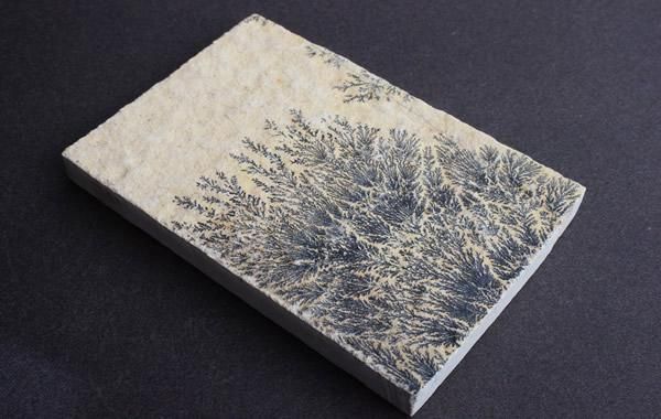 デンドライト Dendrite - greenfloat