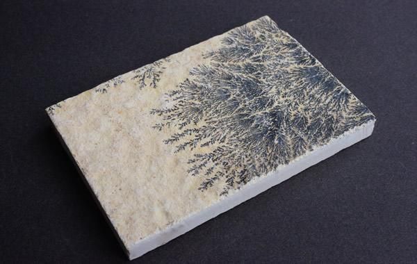 美しいデンドライト（dendrite、樹枝状晶）、忍石　アート作品 デンドライト Dendrite - greenfloat