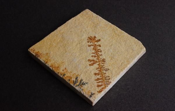 A*s様 美しいデンドライト（dendrite、樹枝状晶）、忍石　アート作品 デンドライト Dendrite - greenfloat