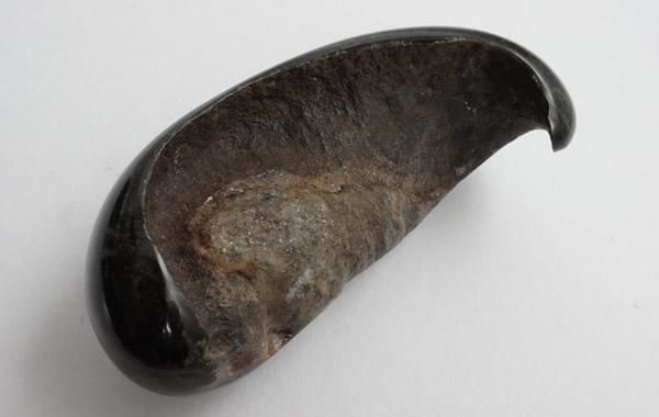 【貴重】クジラの耳骨　化石 クジラの耳骨の化石 Fossil Whale Middle Ear Bone(Tympanic