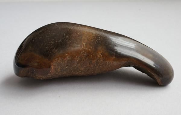 クジラの耳骨の化石 Fossil Whale Middle Ear Bone(Tympanic